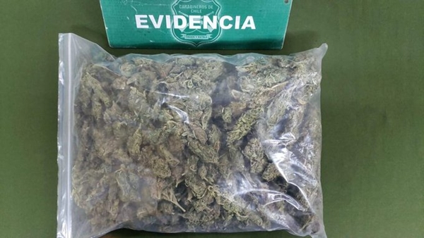 “Esa mochila no es mía” dijo sujeto que llevaba más de un kilo de marihuana procesada en Puente Alto