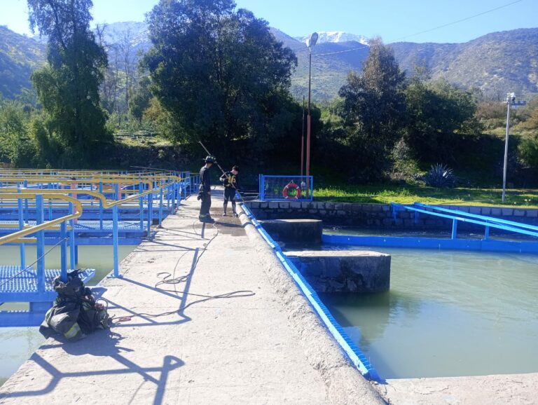 Hombre cayó al canal San Carlos en Puente Alto: equipos de rescate trabajan en su búsqueda