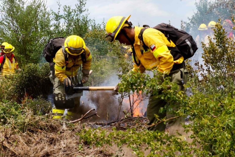 Sigue abierto el proceso de inscripción para ser brigadista forestal de CONAF RM