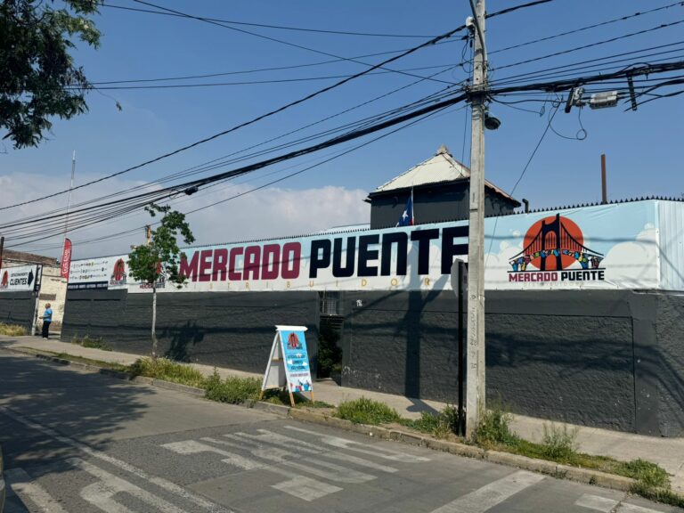 Mercado Puente: el paraíso de las distribuidoras en Puente Alto