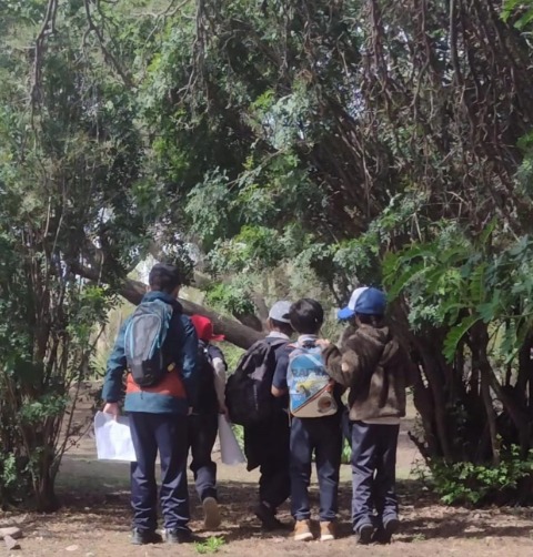 Jardín Japonés se convierte en sala de clases por un día para estudiantes del colegio Miguel Cruchaga Tocornal de Puente Alto