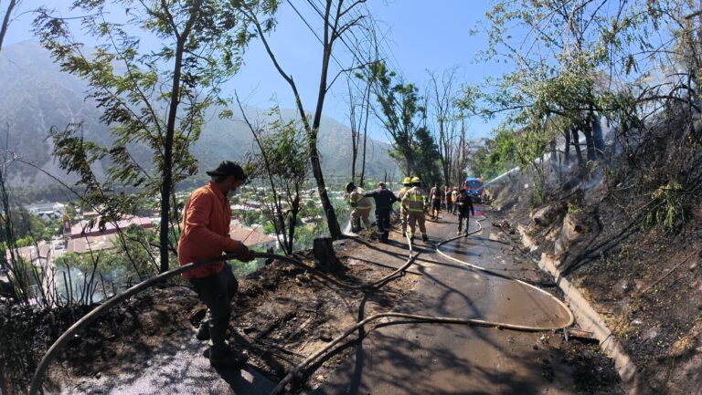 Incendio puso en riesgo viviendas en San José de Maipo