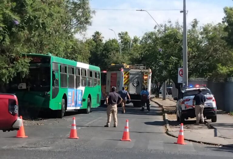 Chofer de bus Red chocó contra árbol cerca del Mall Plaza Tobalaba