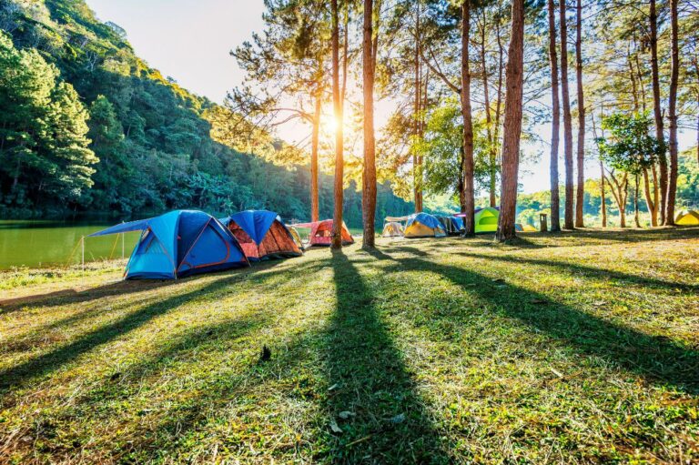 Cómo acampar de forma segura: consejos para disfrutar el verano en contacto con la naturaleza