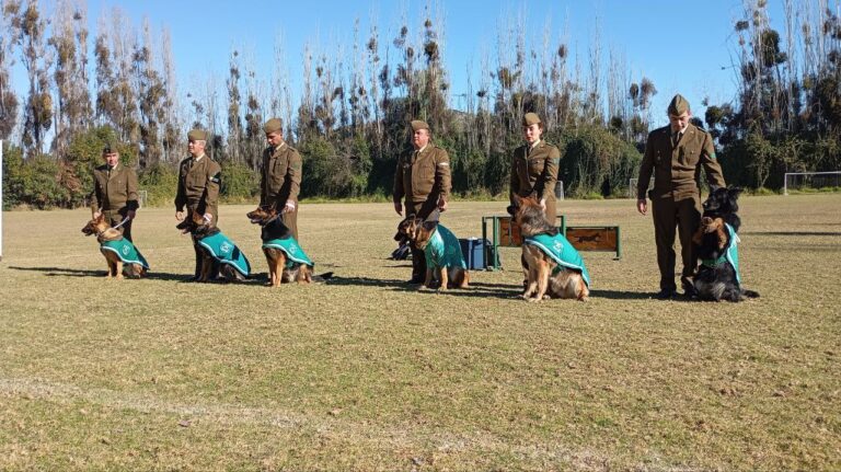 Ejemplares que inspiran: Caninos de Carabineros mostraron su talento a niños de Puente Alto