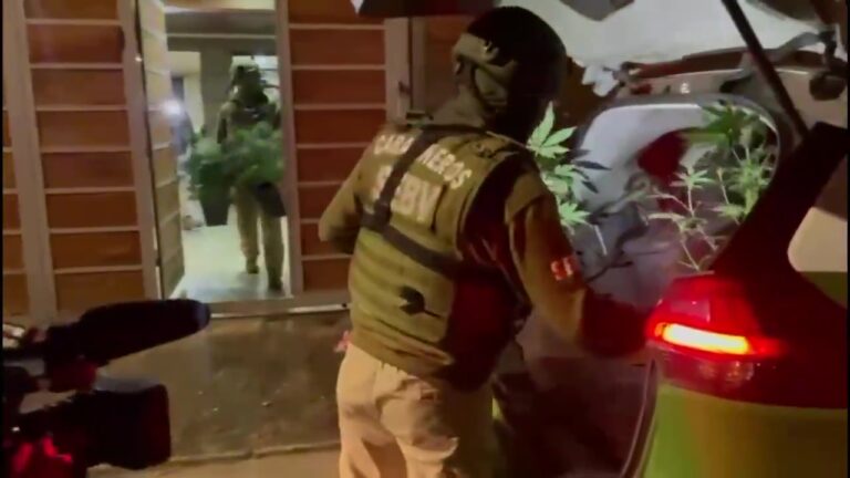 Detienen a cuatro sujetos armados en Puente Alto: tenían cultivo de marihuana en una casa