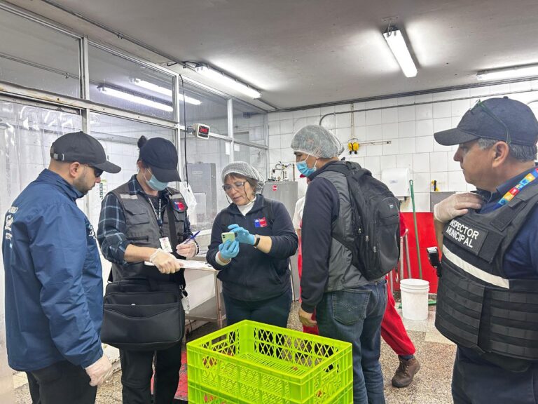 Más de 800 kilos de carne decomisada en fiscalización de la Seremi en carnicerías de Puente Alto