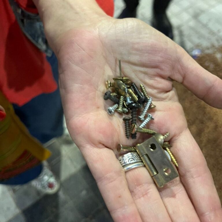 Grave denuncia de maltrato animal en la plaza de Puente Alto: comida para perros contenía clavos y tuercas