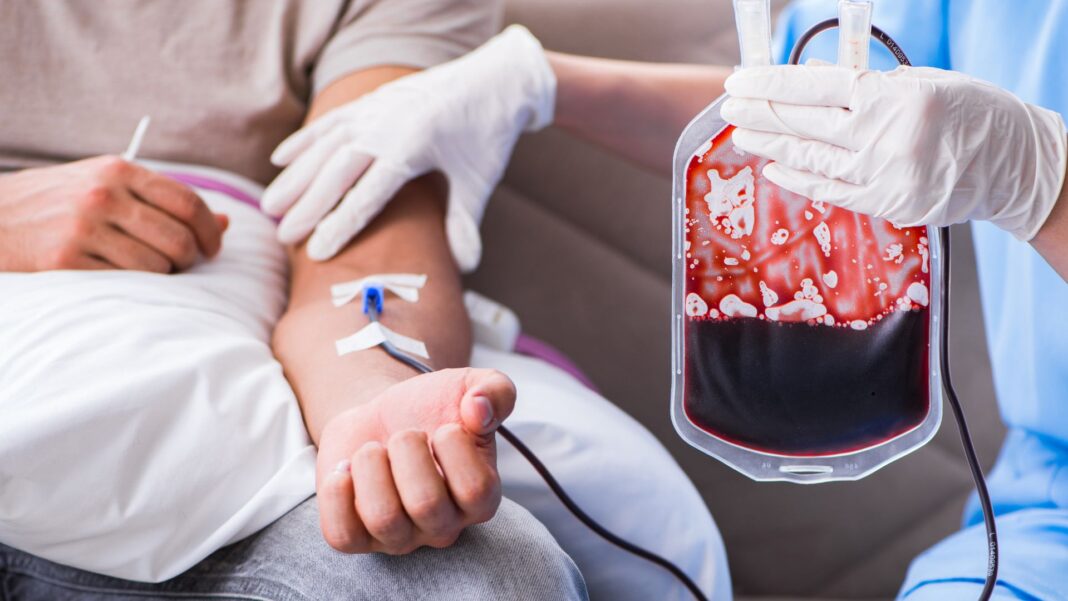 Centro Metropolitano de Sangre realizará operativo de donación en Plaza de Puente Alto