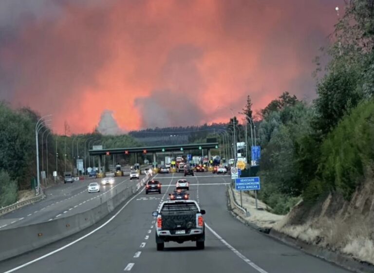 Conaf informa 24 incendios en combate en el Sur: se concentran en Ñuble y Bío Bío