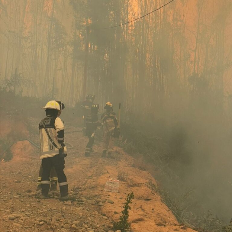 47 voluntarios del Cuerpo de Bomberos local combatieron los incendios en Bío Bío y comandante puentealtino lideró el batallón metropolitano