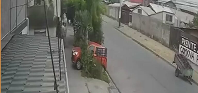 Violenta agresión a adulta mayor y su hija en Puente Alto tras conflicto por un «cachito» de aloe vera