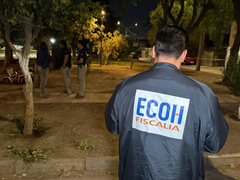 PDI detiene a presunto autor de «bala loca» que mató a estudiante TENS en La Pintana