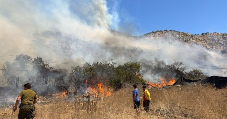Alerta Roja en Pirque por incendio forestal cercano a sectores poblados