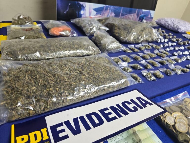 Ocho detenidos y más de $41 millones en droga incautada tras operativo de la PDI en Bajos de Mena