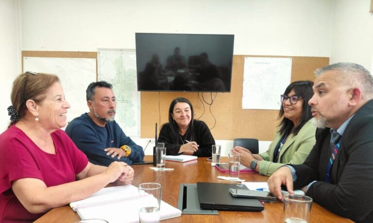 CGE se reúne con la delegada presidencial de Cordillera y presenta planes preventivos de mantenimiento