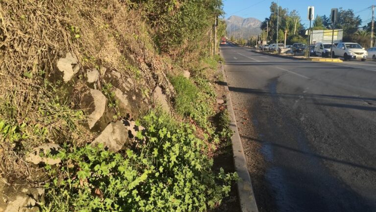 Vecinos alertan falta de vereda en Camilo Henríquez con San Carlos: peatones deben transitar junto a la calzada