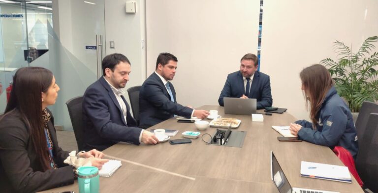 CGE se integra a mesa preventiva para reducir cortes de luz por caída de árboles