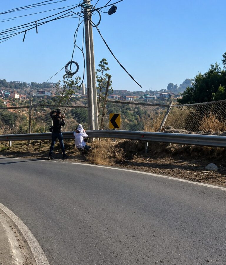 Alarma en Pirque por peligrosos descensos en patines en la «Curva del Diablo»: Hay registro de accidentes graves (video)