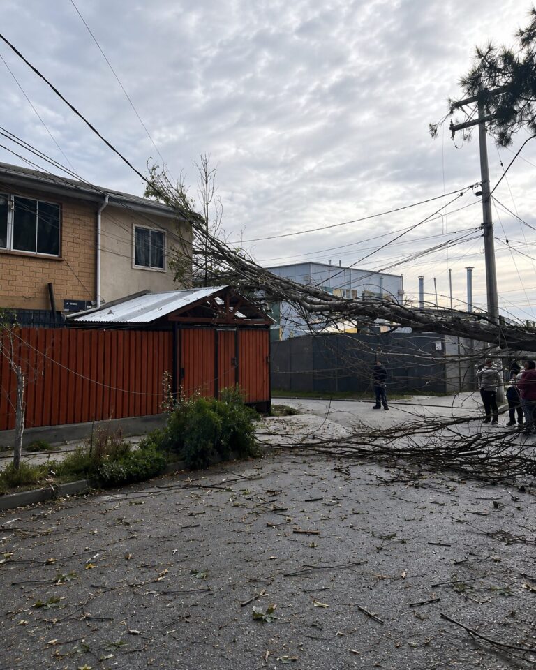 Viento deja a más de 6 mil clientes sin luz en la Provincia Cordillera