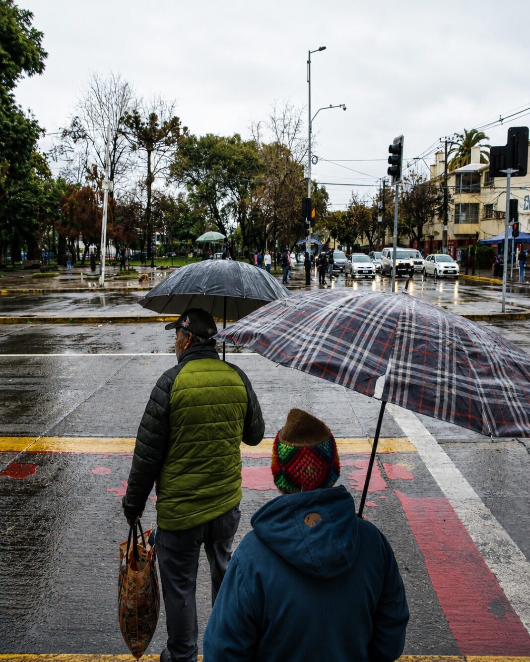 Alerta para la Prov. Cordillera: pronostican lluvias, nevadas y vientos de hasta 60 km/h