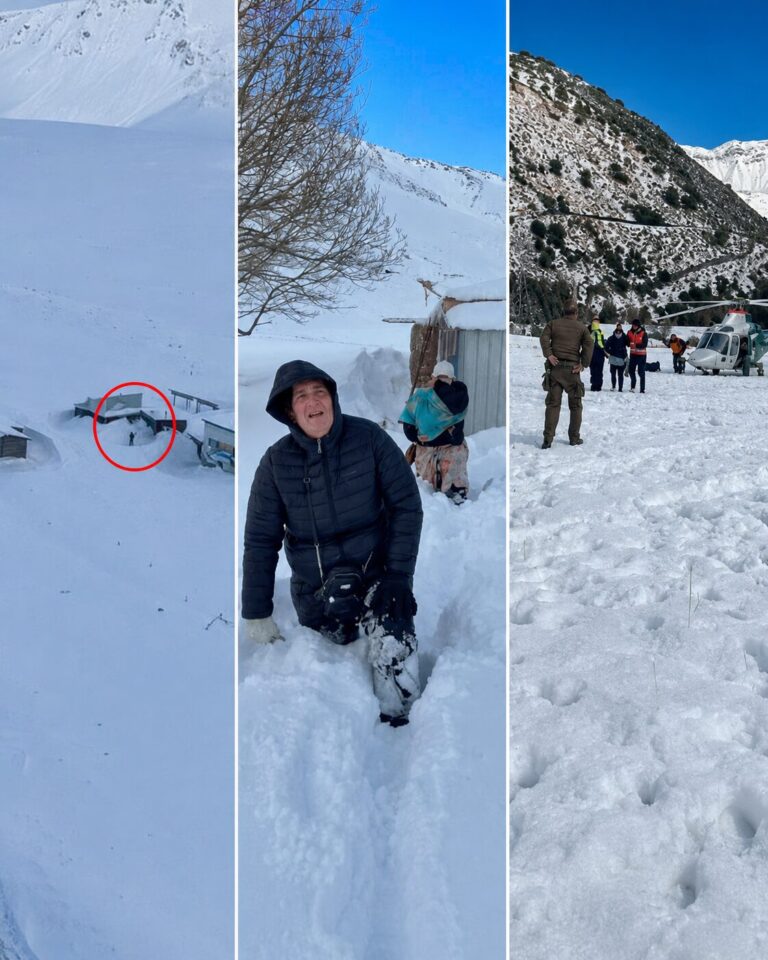 «Ley chino»: proponen sancionar con presidio ignorar órdenes de evacuación