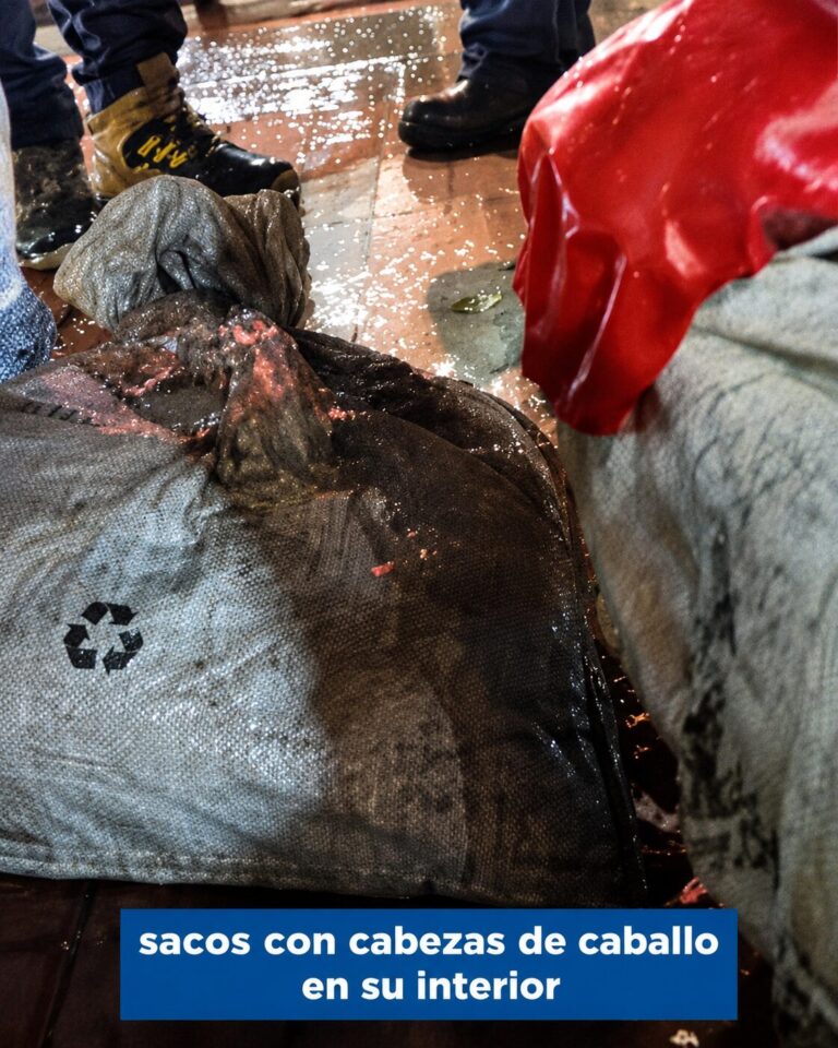 Aguas Andinas retira sacos con cabezas de caballo que obstruían alcantarillado