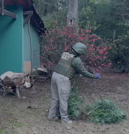 Carabineros allana en Pirque en operativo que vincula a chico reality Camilo Huerta